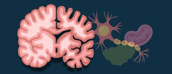 Image Source : Public Domain