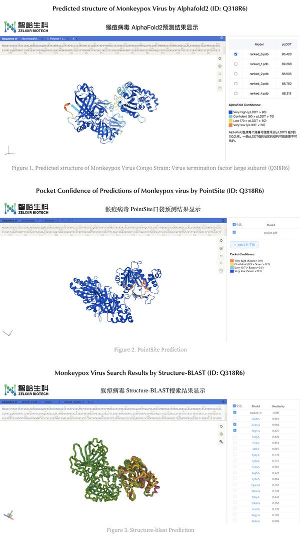 Figure 1. Predicted structure of Monkeypox Virus Congo Strain: Virus termination factor large subunit (Q3I8R6); Figure 2. PointSite Prediction; Figure 3. Structure-blast Prediction
