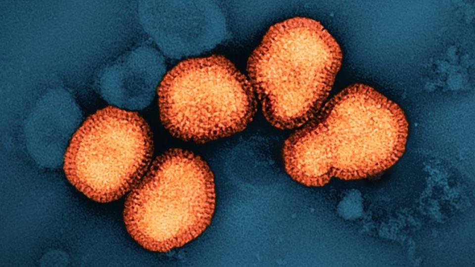 Image Source : Public Domain