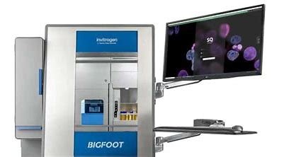 Big foot cell Sorter | Thermo Fisher Scientific