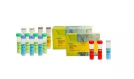 Vericheck ddPCR Empty-Full Capsid Kit
