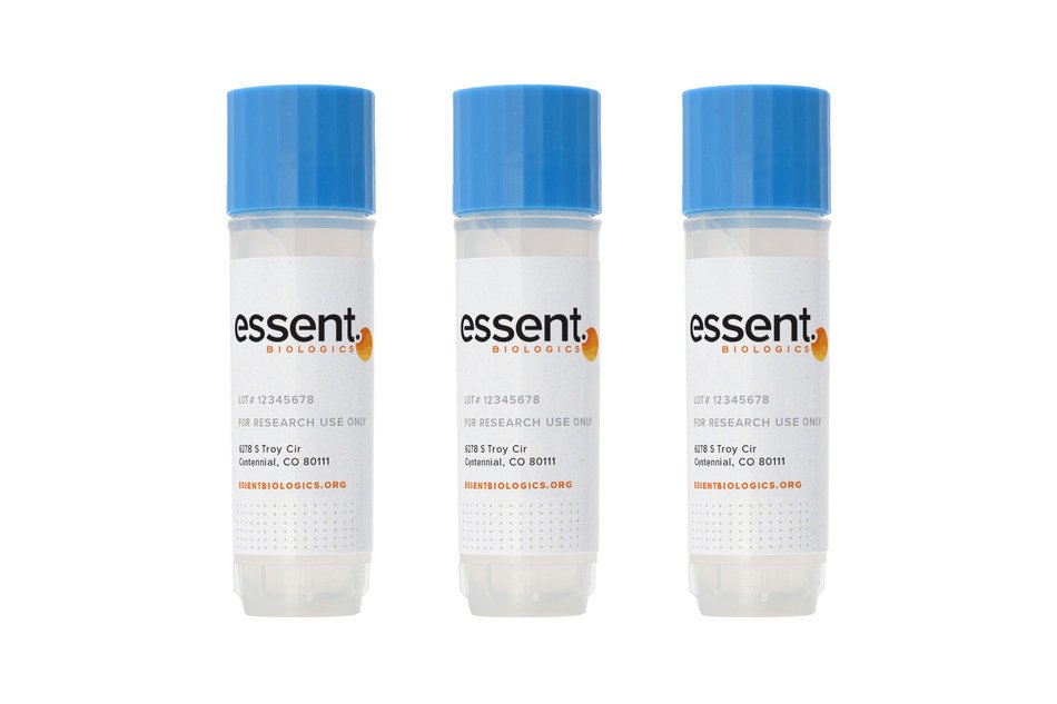 Essent Biologics Launches Human Mesenchymal Stem Cells For Regenerative Medicine, Biopharmaceutical And Cell Therapy Research